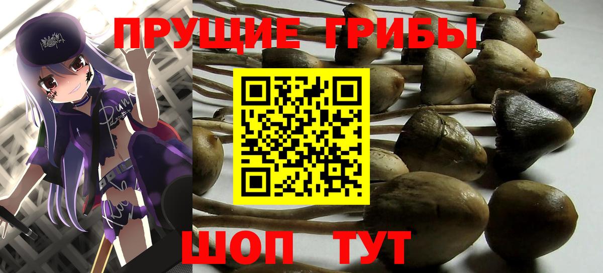 Ипатово  Псилоцибиновые грибы Psilocybine cubensis  Вход с VPN  где купить наркоту  Галлюциногенные грибы Psilocybine cubensis 